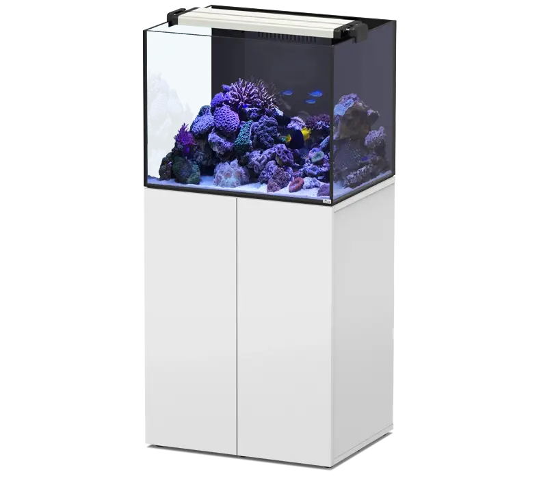 AQUAVIEW 65 AQUATLANTIS