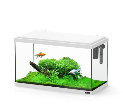 Explorer Paris Aquatlantis