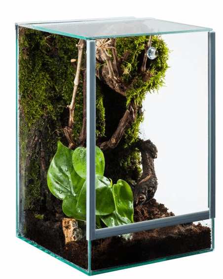 Terrarium p/aranha 20x20x30 PROAQUARIUM