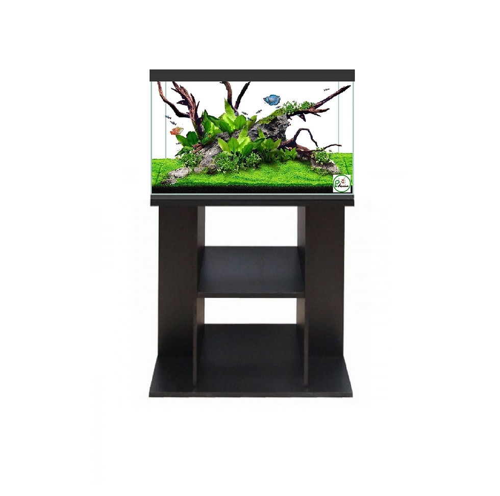 Kit Aquário c/rebordo + tampas + móvel Standard 60