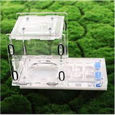 Ant Expert King's Valley formikarium