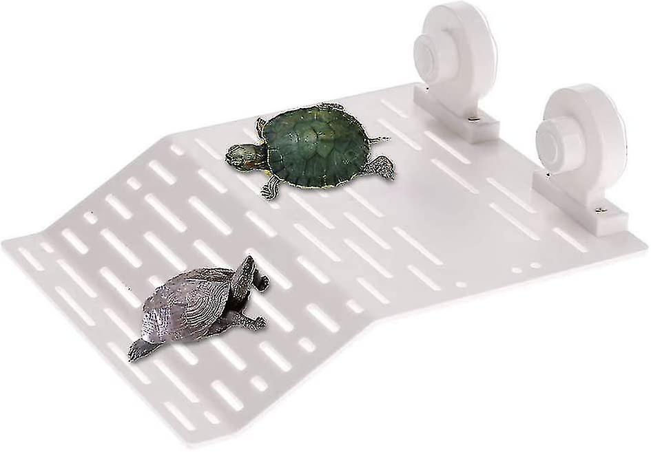 Miniatura: Plataforma com ventosa para tartarugas