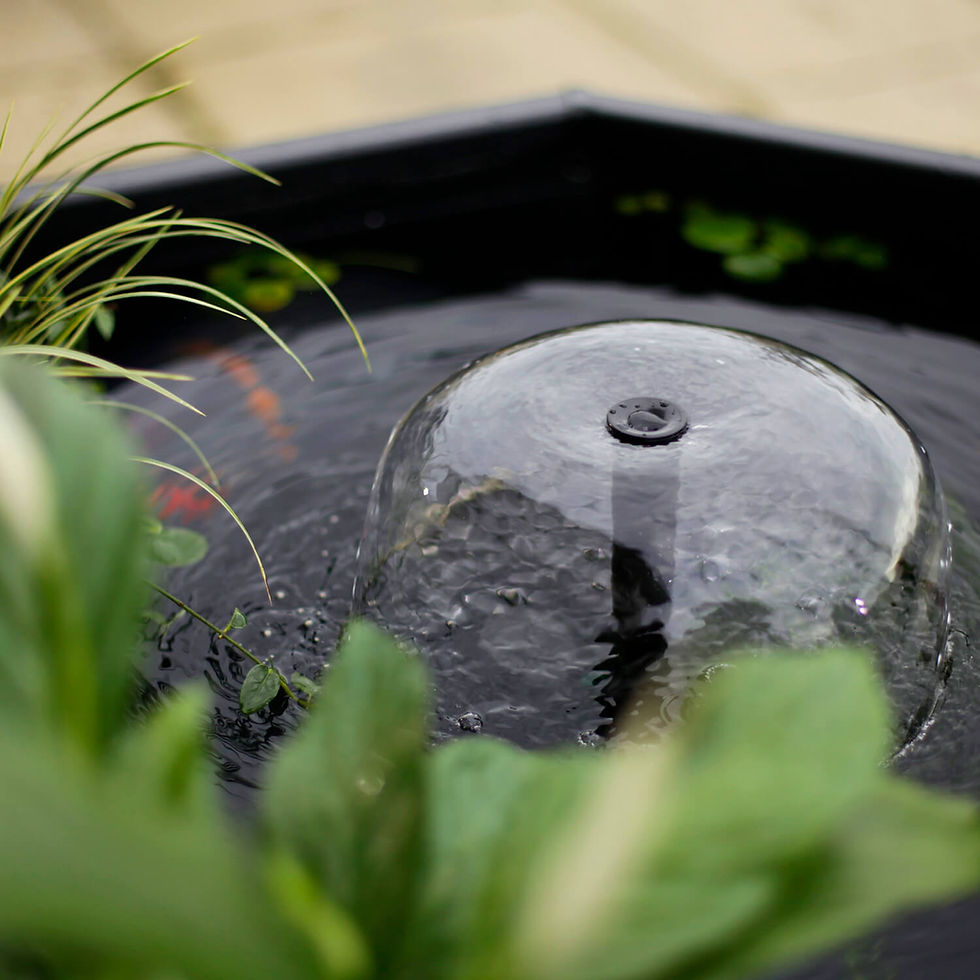 Miniatura: Lago Octagon Mocha "AquaGarden"
