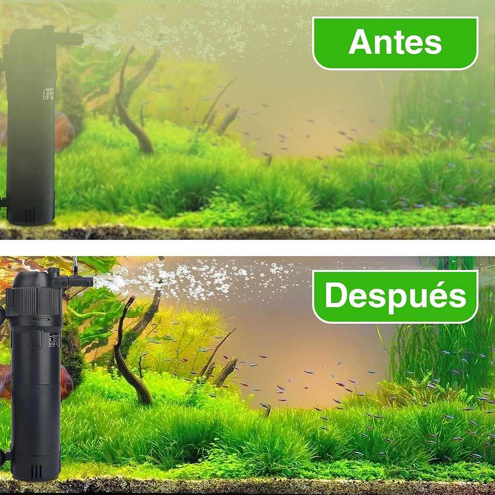 Miniatura: Filtro interno UV Hygger HG139