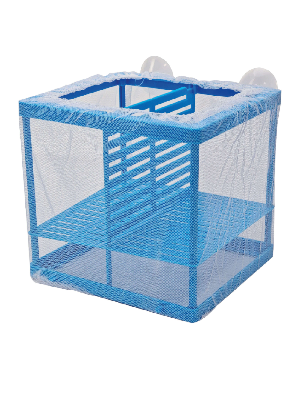 Maternidade de rede FS-02