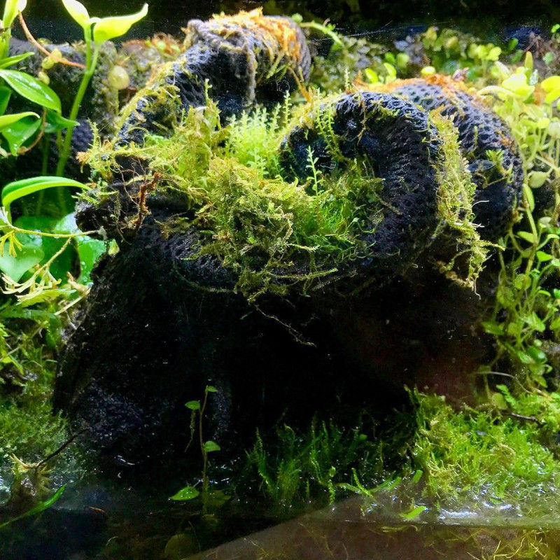 Miniatura: Tapete Hygrolon p/plantio de plantas 44x44 cm
