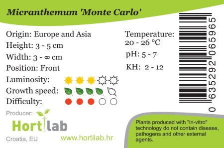Miniatura: Micranthemum Monte Carlo