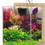 Miniatura: Aquário Zolux Jalaya 2