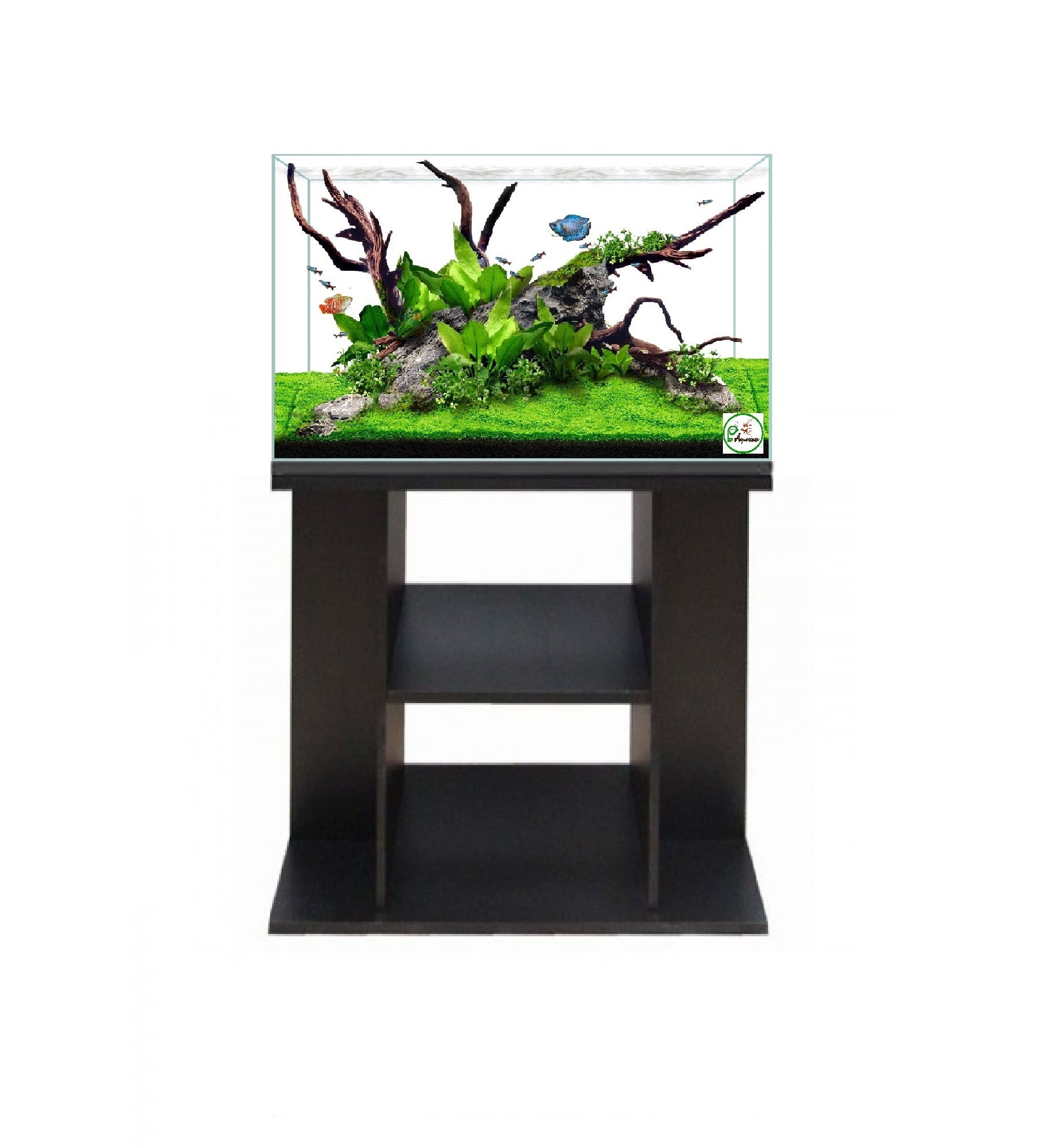 Kit Aquário + móvel Standard 50