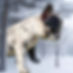 5F98712D-19C4-423A-8A67-DB8DED546CE6.JPEG