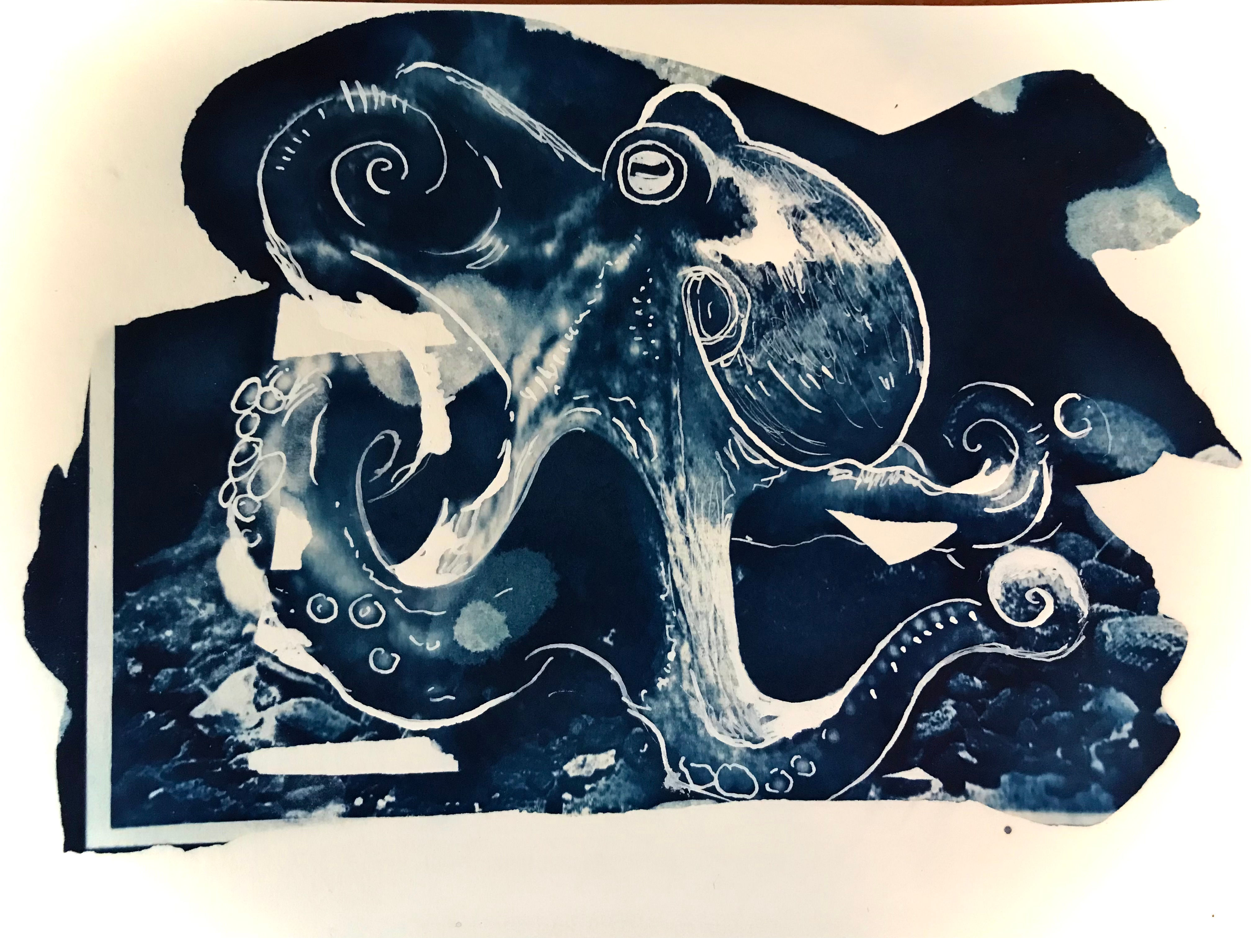 Octopus Cyanotype