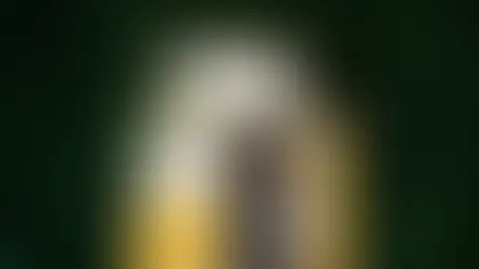 Photo Booths as a Revenue Stream: Monetizing Your San Diego Event