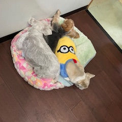 年末年始ホテル～