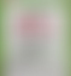 せたPay　春のPoint Up 第一弾！　　　