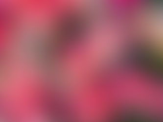 ~色とりどりの季節。また新しいはじまり~