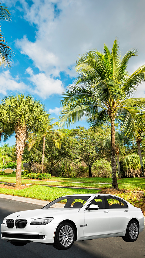 Untitled design-42.png