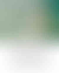 Johanna Nordblad: vapaasukeltaja ja vesikummi