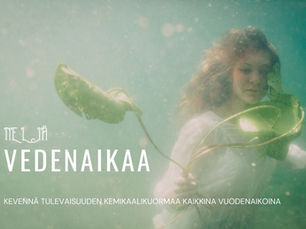 Johanna Nordblad: Neljä vedenaikaa -vesikummi