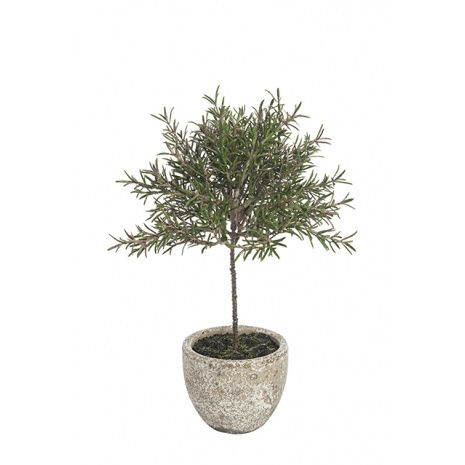Thumbnail: >>Faux Rosemary Plant
