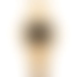 Pulsar Watches: Pioneers of the Digital Revolution in Horology