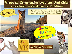 Page de la présentation anniversaire par Zuzanna Kubica CDBC de CoeurCanin sur comment mieux se comprendre avec son chien et résoudre des problèmes.