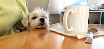 cafe_edited.jpg