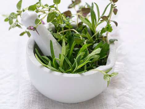 Banho Poderoso de Proteção: Arruda e Guiné 