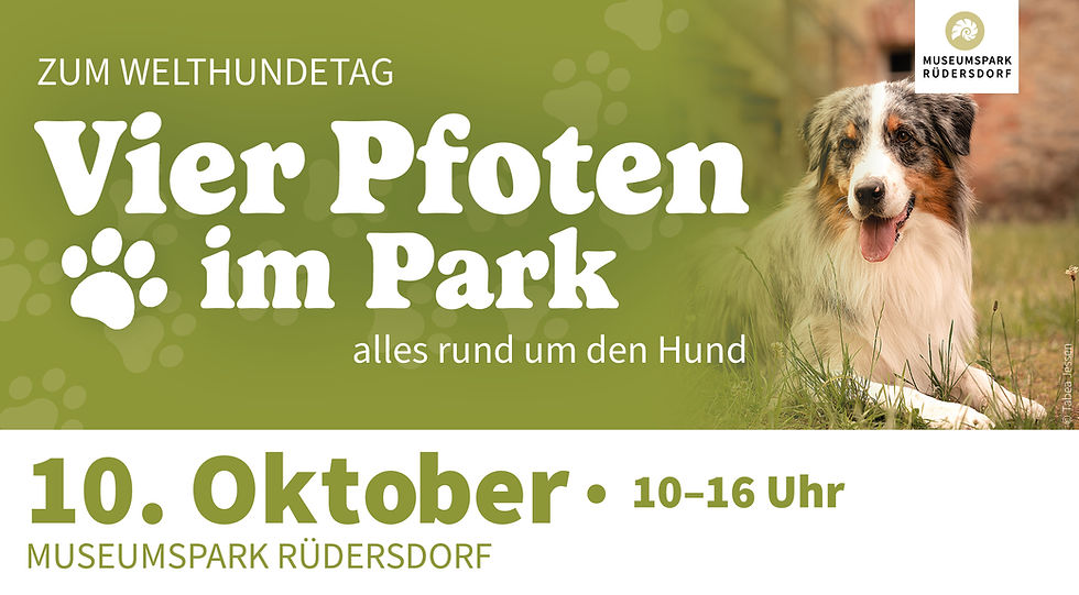 Vier Pfoten im Park – Alles rund um den Hund