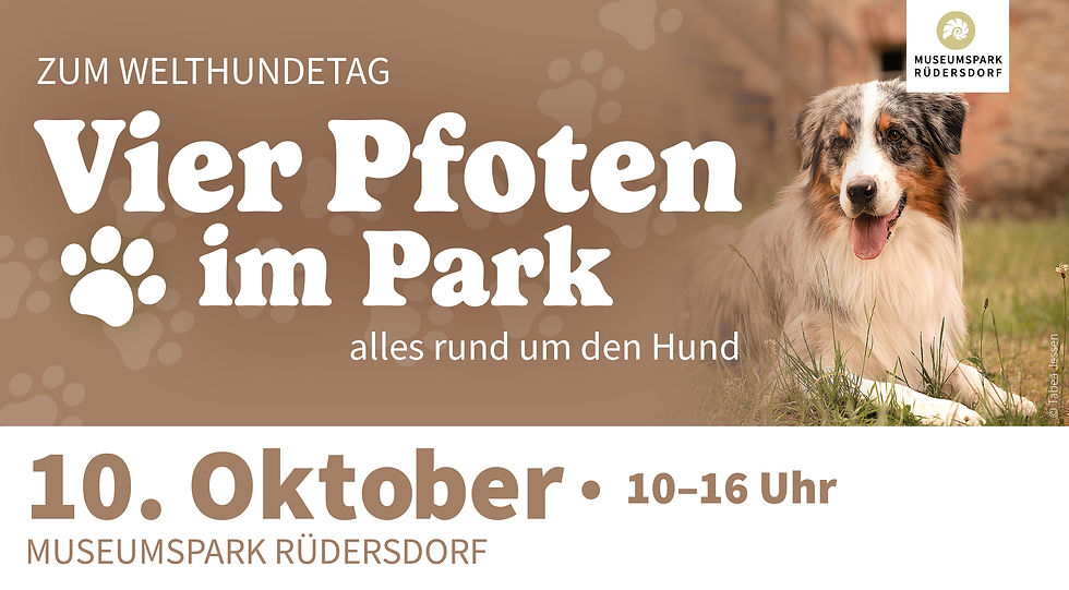 Vier Pfoten im Park – Alles rund um den Hund