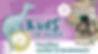Kids im Park: Fossilien suchen & bestimmen