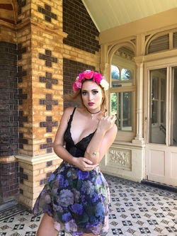 13239919_1754431018105500_8456596821170456260_n