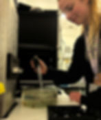 Person in a lab stirs fish in a glass bowl with a pipette.