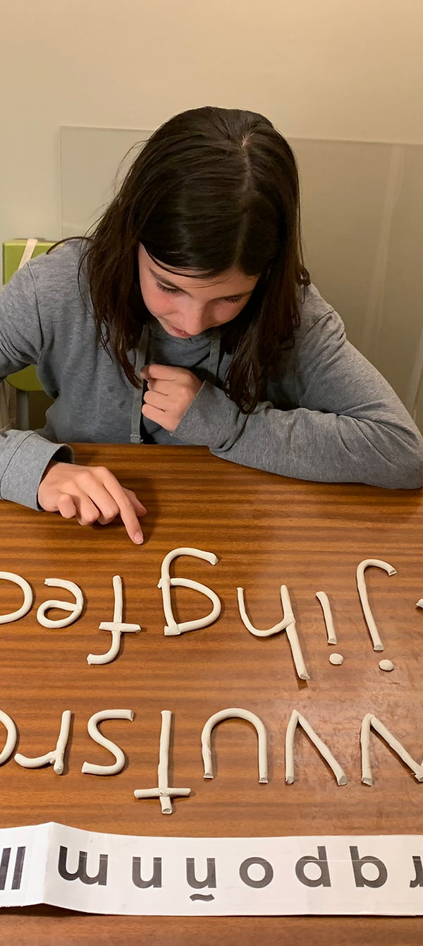 Alphabet-Plescia-facGage-1.jpeg