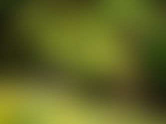 Luxury Homes in Old Westbury: The Most Sought-After Features