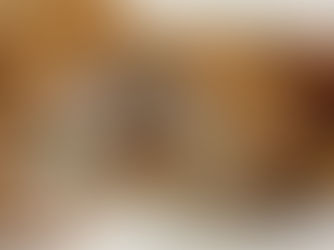 Dennis T’s Pork Chop Cordon Bleu