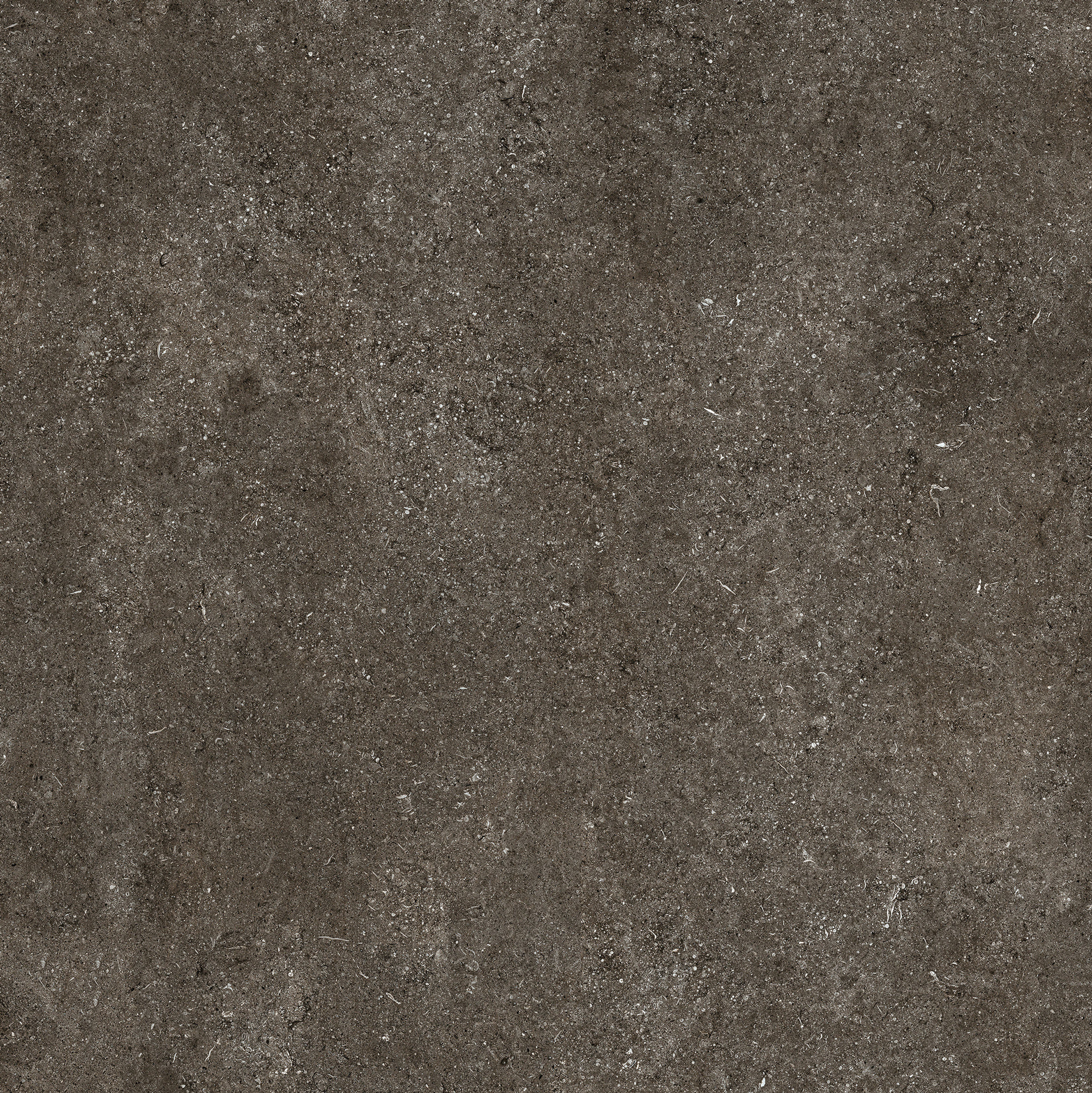 Creative Design - Sensi - Brown Fossil, Matte 120x240x0,6 cm