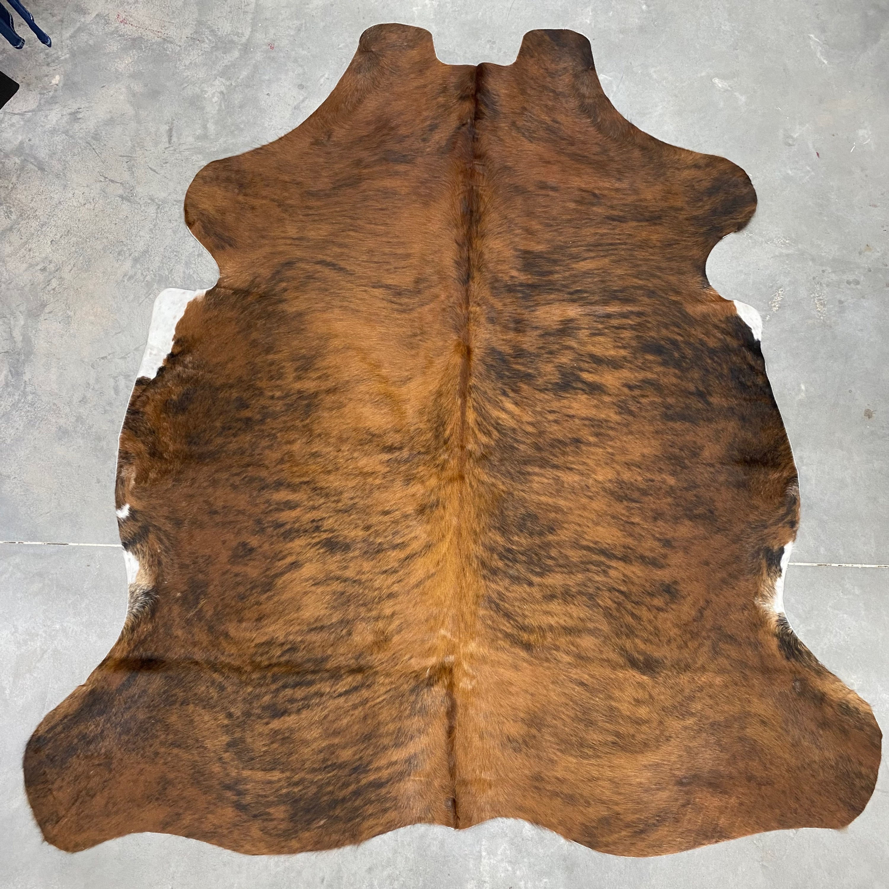 022 One of a Kind Premium Jumbo Cowhide.
