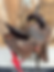 Thumbnail: Lightly USED 14” JHA - Chocolate 