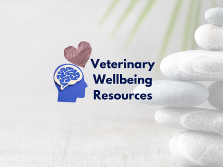 Five Veterinary Wellbeing Sessions from the WellVet Archive