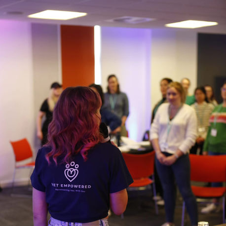 Are You Searching for Vet Jobs Online? Don't Miss These 3 Key Things