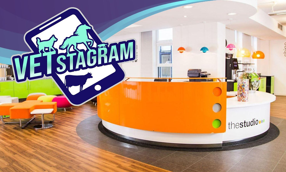 Choosing a Sustainable Venue for VETstagram 2023: Our Commitment to Environmental Responsibility