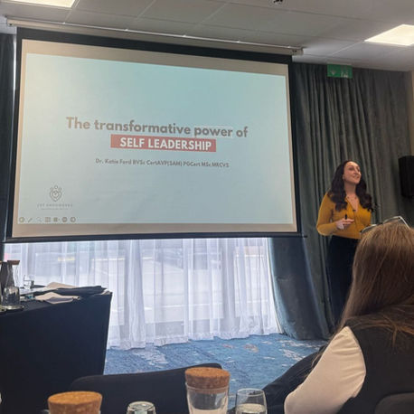 Leading Yourself First: Vet Empowered at VMG Congress 2025