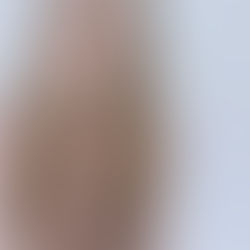 Veterinary Time Management... are we getting it wrong?