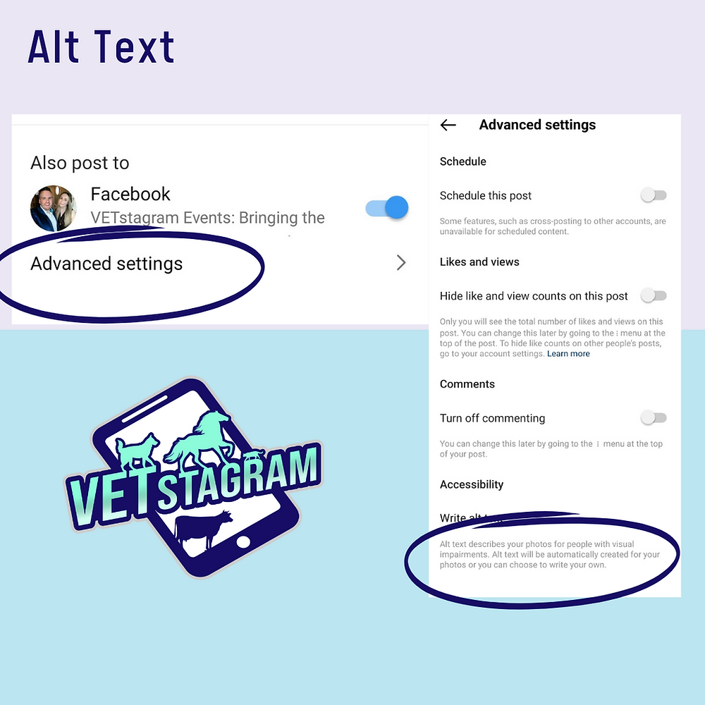 Creating Inclusive & Accessible Veterinary Social Media Content: Proven Strategies