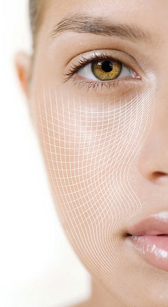 CACI-Face Grid.jpg