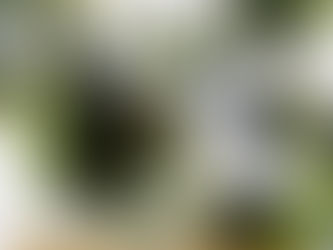 Divine Path... Sacred Love...