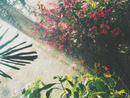 Soul Transformation 10/7/20