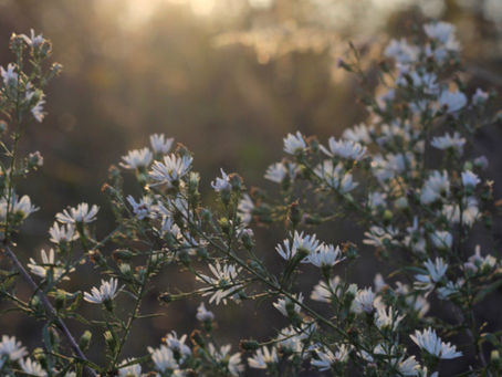 Soul Transformation 10/4/20