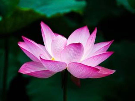 Soul Transformation 8/9/20