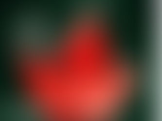 Divine Path... Sacred Love...